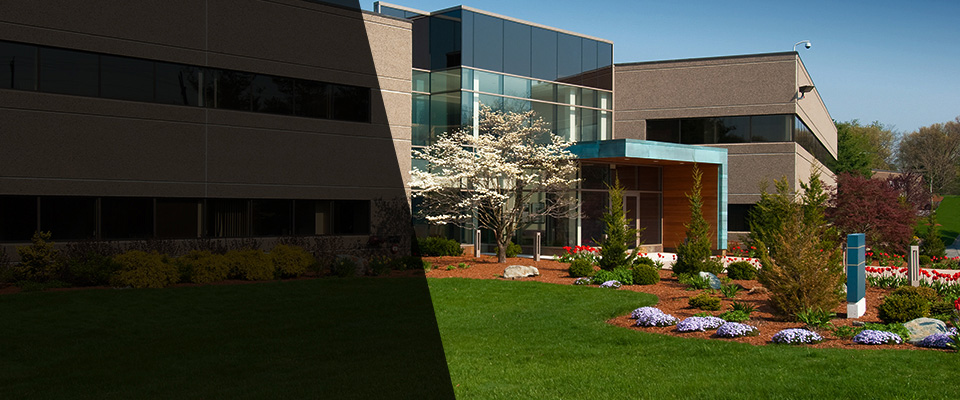 Newport Landscapers